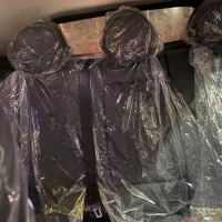 مشکی ۱۴۰۴ صفر|خودرو سواری و وانت|تهران, دریا|دیوار