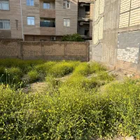 کوثر-2-اسلامی-بنکداران-ملکی-کوچه-ده-متری