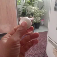 یک عدد سنگ الماس اسیاب|جواهرات|بومهن, |دیوار