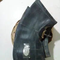 قناری|حراج|بروجرد, |دیوار