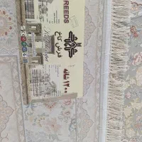 یک عددفرش صفر ۱۲۰۰شانه ضخیم گلبرجسته|فرش|آق قلا, |دیوار