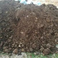 فروش کود حیوانی خالص|خدمات باغبانی و درختکاری|آبسرد, |دیوار