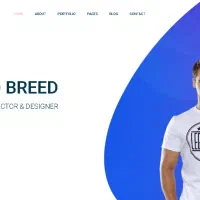 طراحی سایت ، وردپرس ، سئو