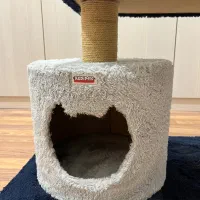 اسکرچر گربه مارک kedipek