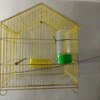 قفس و وسایل آب خوری و دان خوری
