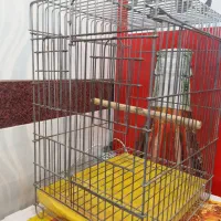 قفس طوطی بسیار سنگین صحیح سالم|لوازم جانبی حیوانات|اردبیل, |دیوار