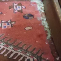 فرش دستبافت کارکرده|فرش|بهار, |دیوار