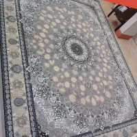 فرش وحید|فرش|قم, شاه ابراهیم|دیوار