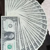 یک دلاری نو