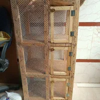 مرغ وخروس گلین قفس سه طبقه چوبی و قفس طوطی|حیوانات مزرعه|اسلام‌شهر, مطهری|دیوار