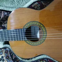 گیتار اسپانیایی کلاسیک فلامنکو الحمبرا Alhambra P4|گیتار، بیس، امپلیفایر|قوچان, |دیوار