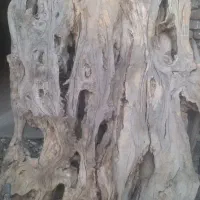 فروش چوب|مصالح و تجهیزات ساختمان|تویسرکان, |دیوار