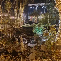 نیروی رستوران