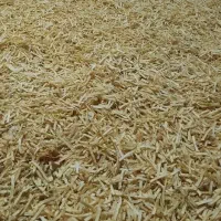 خلال سیب زمینی و چیپس تازه سنتی