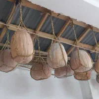 کدو|خوردنی و آشامیدنی|چاف و چمخاله, |دیوار