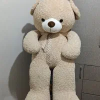 خرس شاسخین|اسباب‌‌بازی|ابهر, |دیوار