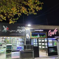 آکواریوم رفیعیان