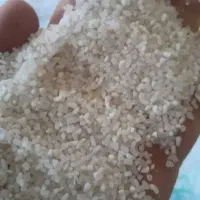 برنج نیمدانه عنبربو