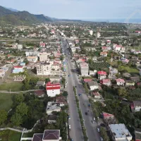 زمین تک برگ سند ساحلی