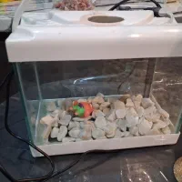 آکواریوم ماهی با تمام وسایل کامل در ابعاد  ۲۵×۳۰