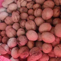 سنجد.تخمه.کشمش.گردو کاغذی. قاوورقا|عمدهفروشی|قره ضیاالدین, |دیوار