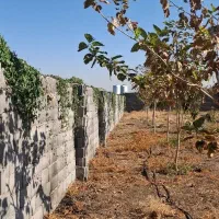 باغ ۱۰۰۰ متری چهار فصل(روستای اندیس)|فروش دفتر صنعتی، کشاورزی، تجاری|قم, نیروگاه|دیوار
