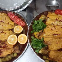 تهیه غذا (آماده همکاری با شرکت ها وپخت غذای مجالس)
