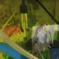 آکواریوم سایز بزرگ