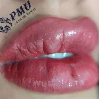 تخفیفات ویژه خدمات آرایش دائم با مواد اورجینال|خدمات آرایشگری و زیبایی|شیراز, شاهچراغ|دیوار