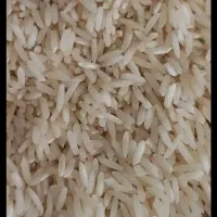 برنج طارم