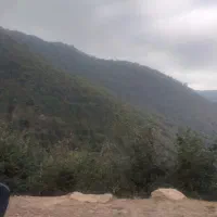 زمین-ویلای-روستای-سوسرا-آزادشهر-استان-گلستان