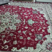 یک عدد فرش 12 متری|فرش|بجنورد, |دیوار