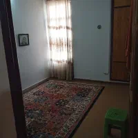 حدود پنجاه متر موکت کرمی
