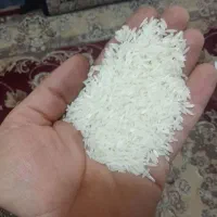 برنج فجر با اب چشمه