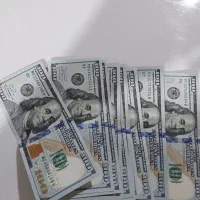 سرمایه گذار هستم