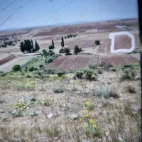 ۸۳۰۰ متر زمین