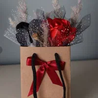 باکس گراف دوگل