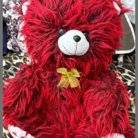 تعدادی عروسک سالم