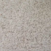 برنج طارم محلی