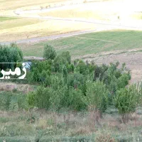 زمین کشاورزی