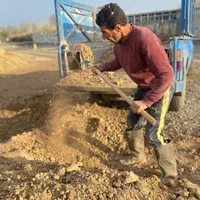 خاک باغچه نیسانی در شهریار-اندیشه-شهریار-ملارد