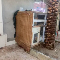 قفس مخصوص پرنده|لوازم جانبی حیوانات|ارد, |دیوار