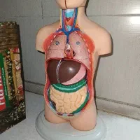 مولاژ