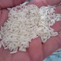 برنج هاشمی|خوردنی و آشامیدنی|رشت, منظریه|دیوار