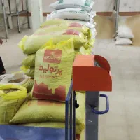 فروش انواع کنسانتره