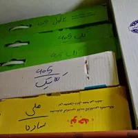 رادیاتور آب// پرایدپیکان تیبا پژو ۴۰۵ و۲۰۶ سمند|قطعات یدکی و لوازم جانبی|تبریز, |دیوار