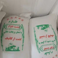برنج ایرانی طارم فجر گرگان هاشمی زعفران قاعنات|خوردنی و آشامیدنی|ری, دولتآباد|دیوار