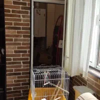 فروش مغازه واقع در e5  و ملک در f2|فروش مغازه و غرفه|فولادشهر, مسکن مهر فولادشهر|دیوار