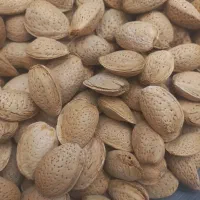 بادام شیرین