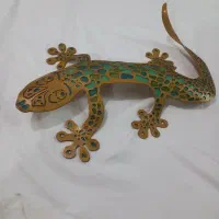 مارمولک تزئینی